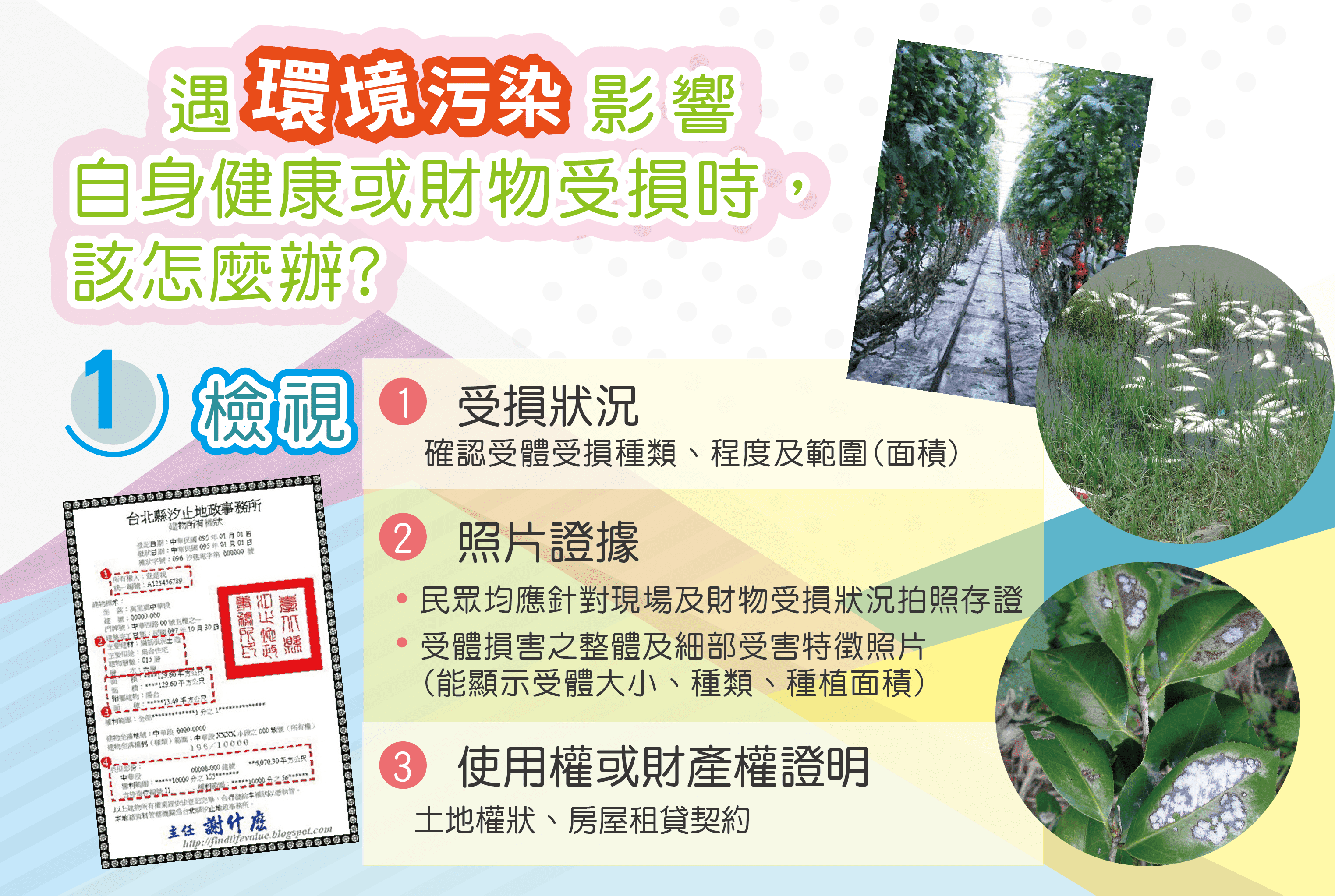 本圖為公害糾紛處理步驟1.檢視：欲環境污染影響自身健康或財物受損時，該怎麼辦？一、確認受損狀況，二、拍照存證，三、使用權或財產證明